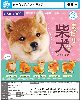 瀏覽大圖