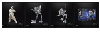 瀏覽大圖